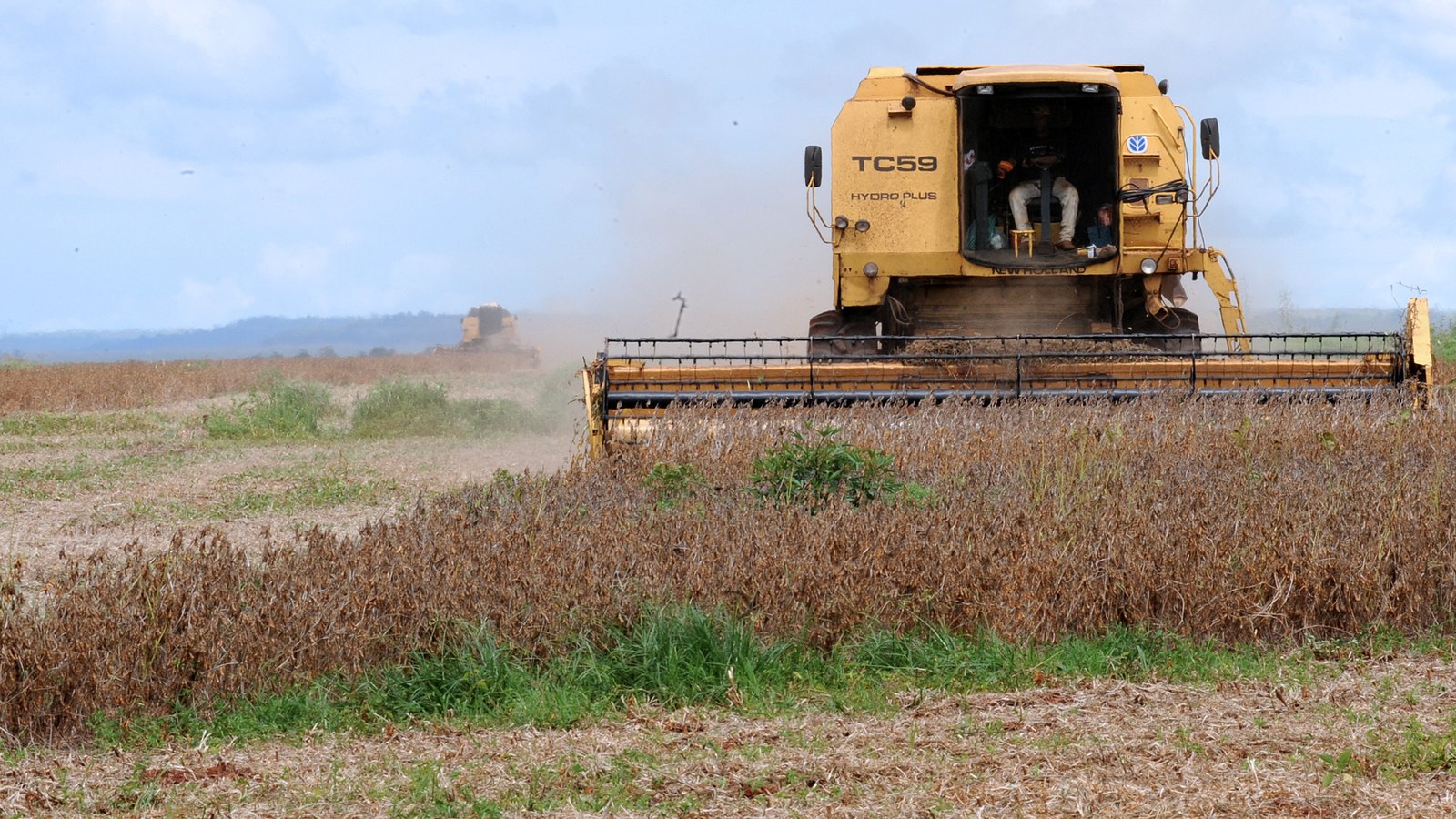 Colheita de soja em Rondonópolis (MT), estado da sede da Fex Agro; foto ilustrativa. Foto: Roosevelt Pinheiro/Agência Brasil, CC BY 3.0 BR, recortada