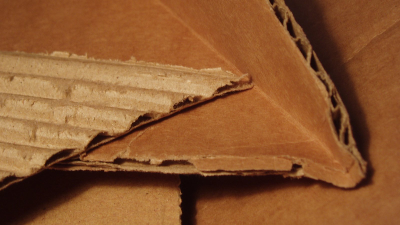Papelão ondulado, o produto do Grupo Induspel, fabricante de papel e embalagens com sede em Curitiba (PR). Foto ilustrativa: Richard Wheeler/Wikimedia Commons, CC BY-SA 3.0, recortada