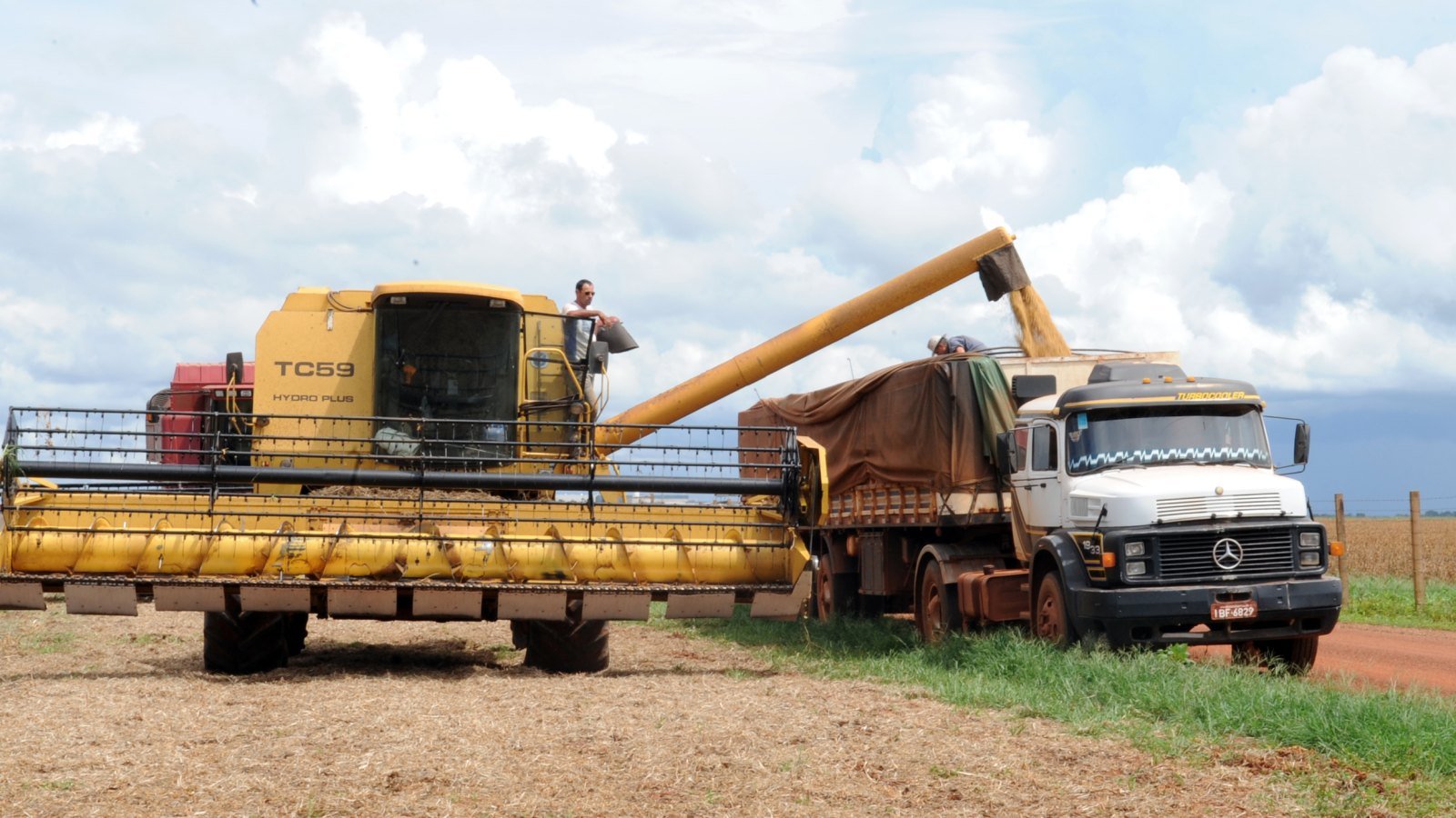Colheita de soja em Rondonópolis (MT): o Grupo Mascarello cultiva soja e milho em Tabaporã, no mesmo estado. Foto ilustrativa: Roosevelt Pinheiro/Agência Brasil, CC BY 3.0 BR, recortada