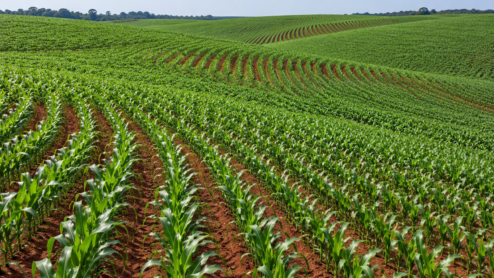 Operação agrícola em cena genérica. Ilustração gerada por IA; não retrata propriedades ou máquinas dos produtores de Mineiros/GO nem um episódio real.